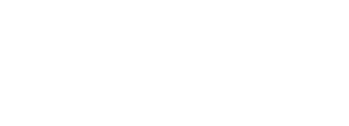Salon Industries